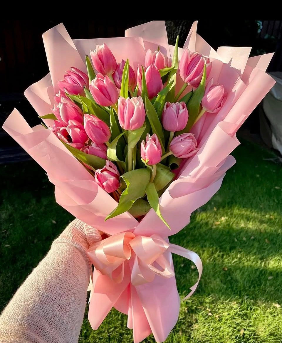 Pink Tulip Kiss