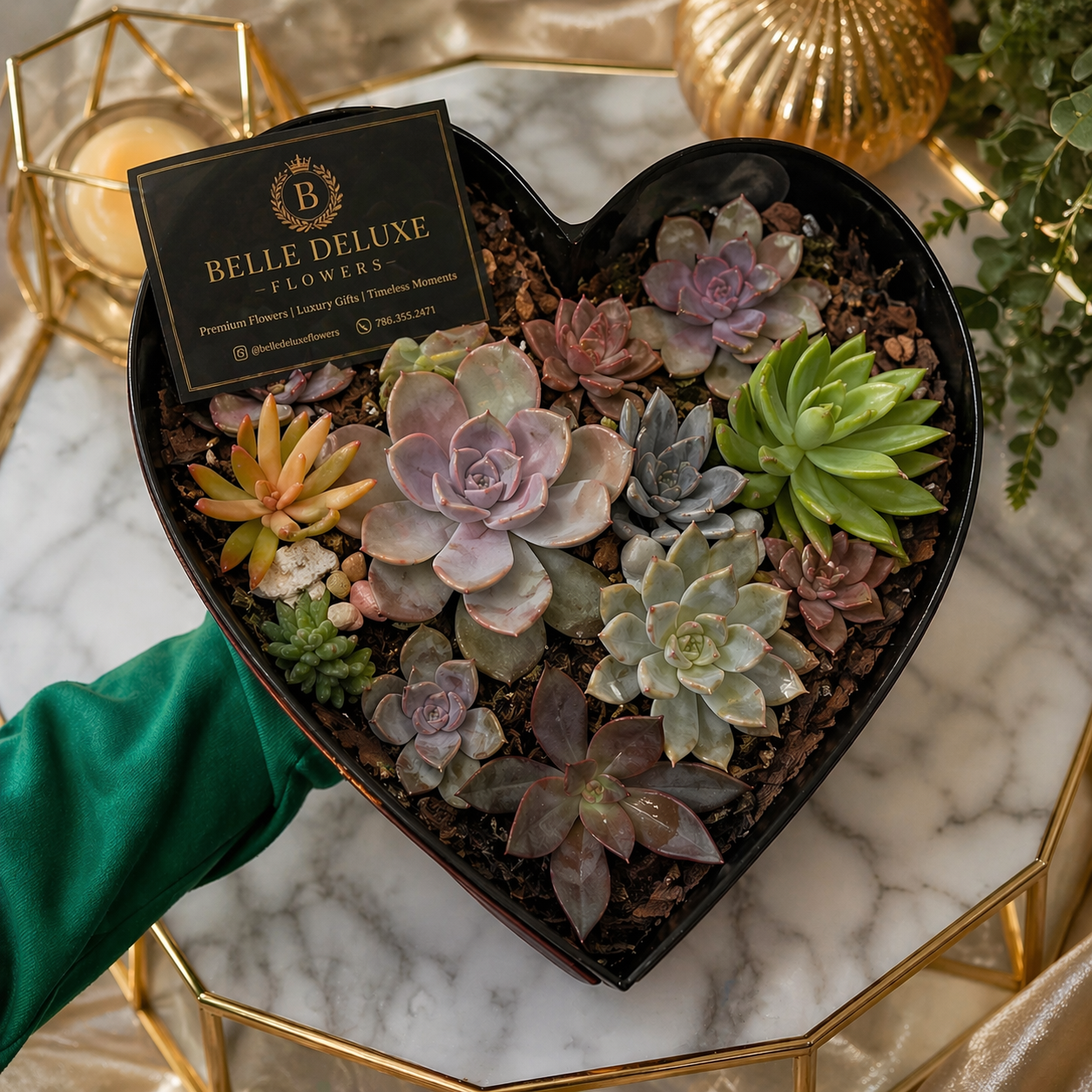 Timeless love succulent