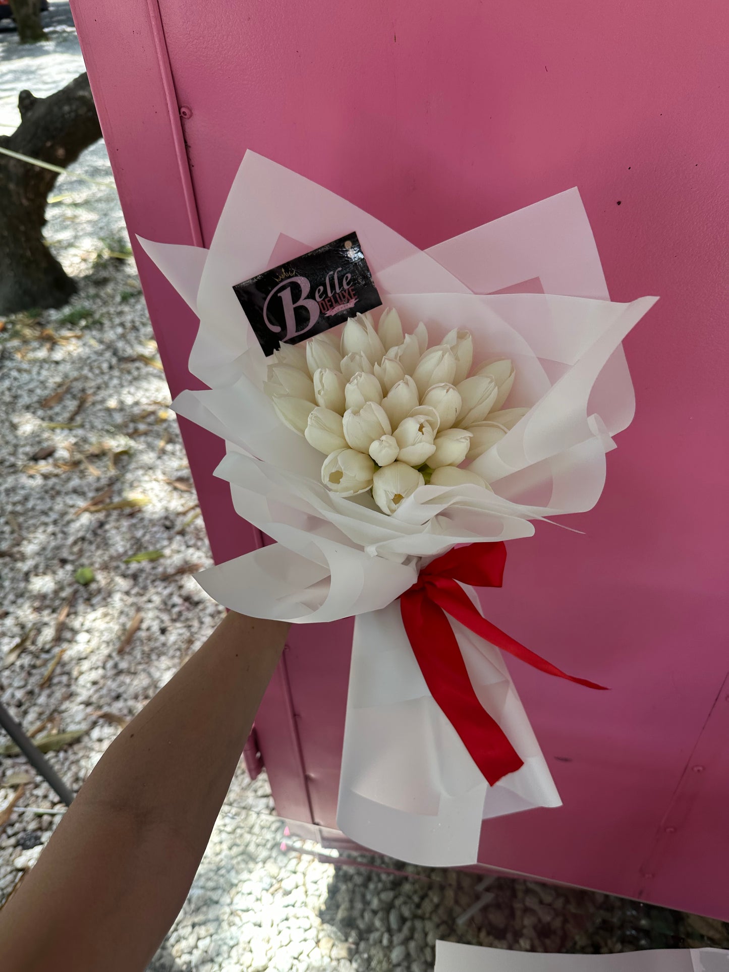 30 White tulips wrap