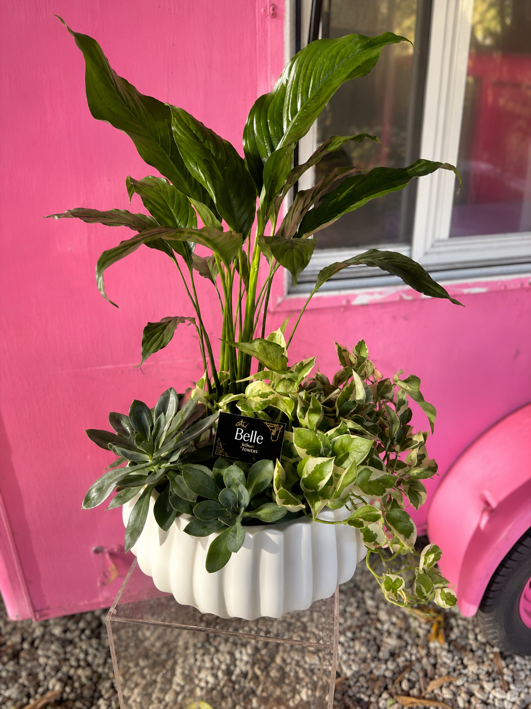 Serenity Garden Planter