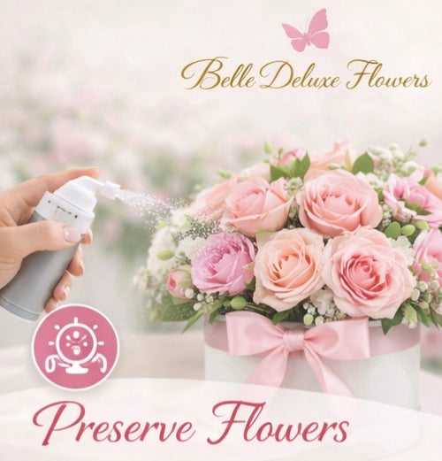 Preserve flowers | Flores preservadas