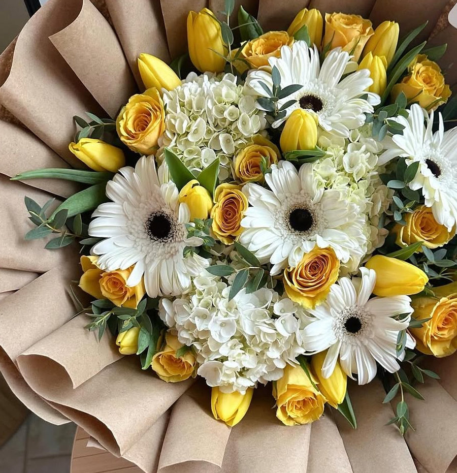 Gerberas Daisy flowers