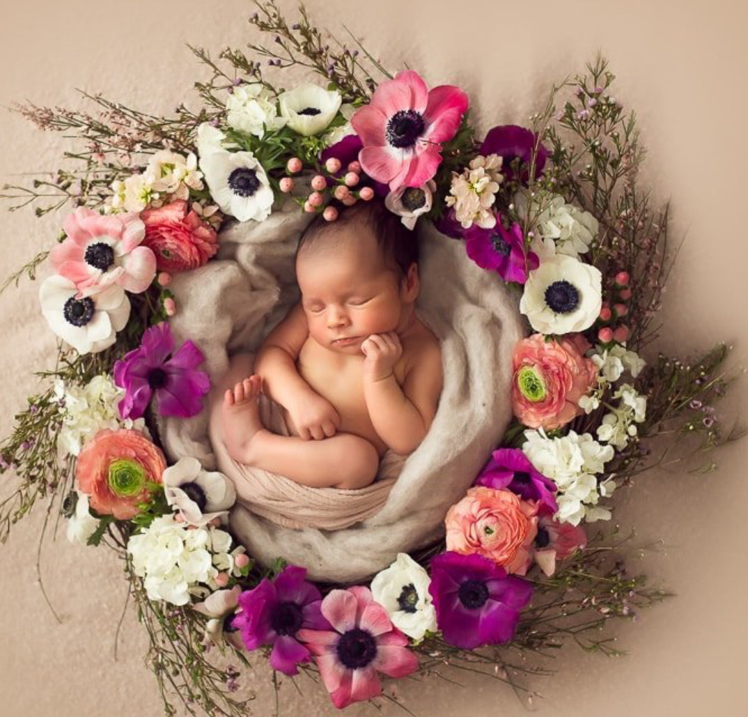 Belle Baby Collection