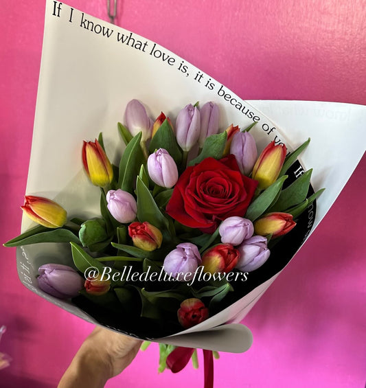Tulip France