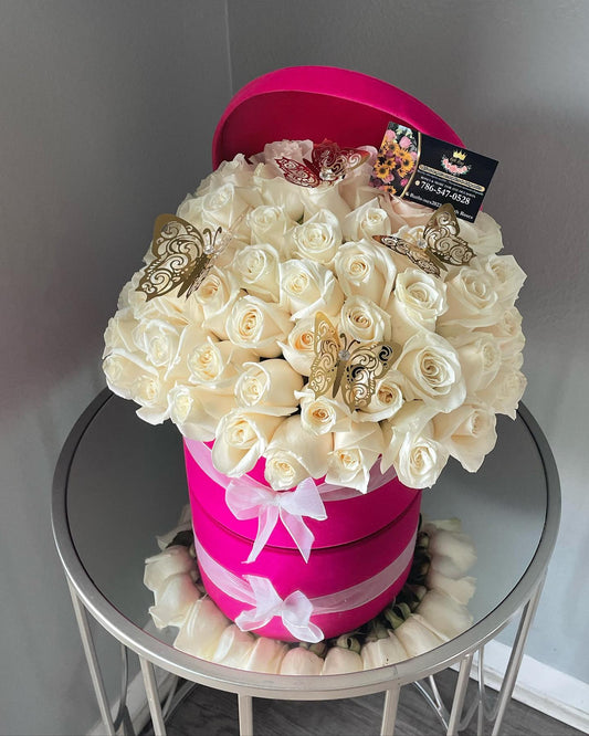 50 WHITE ROSES IN HOT PINK VETVET BOX