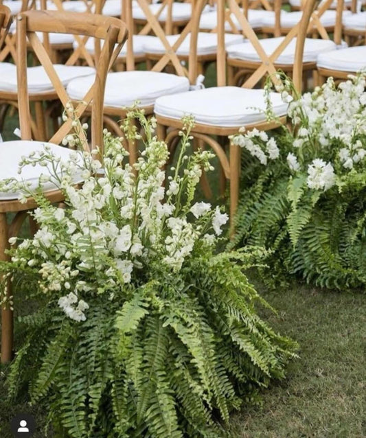 Aisle - Ferns Wedding