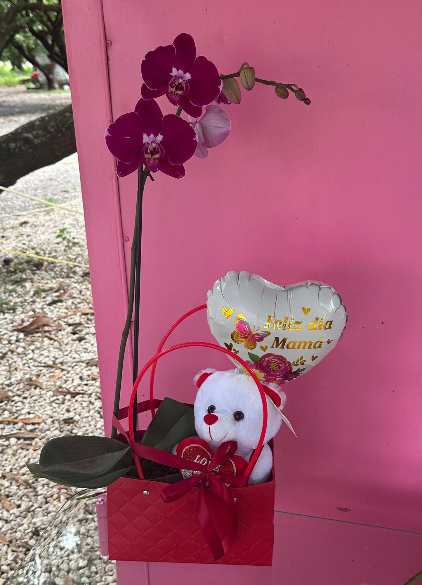 Orchid gift!