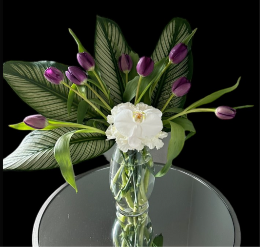 Tulip on vase