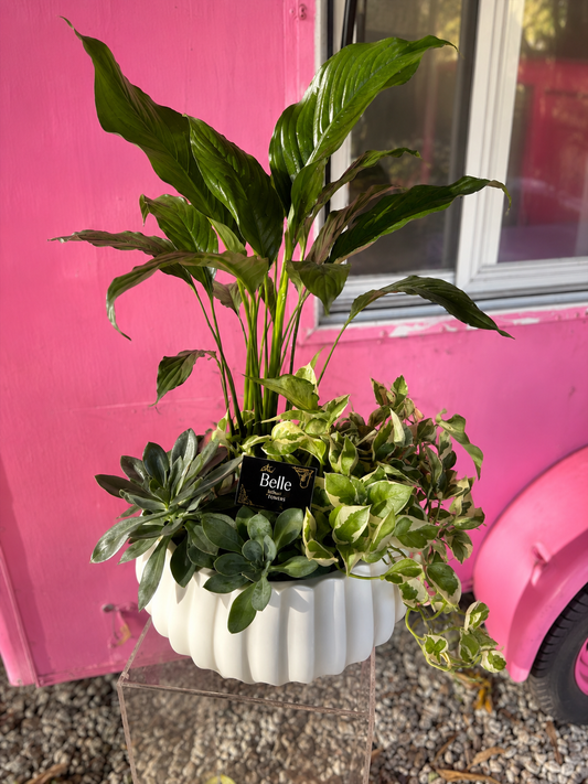 Serenity Garden Planter - Sympathy or Just because