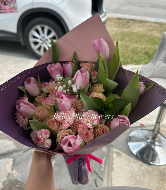 Dream tulip