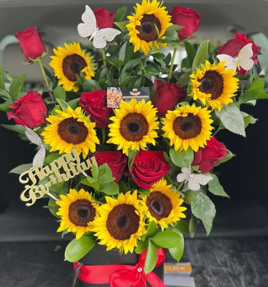 Sunshine in a box