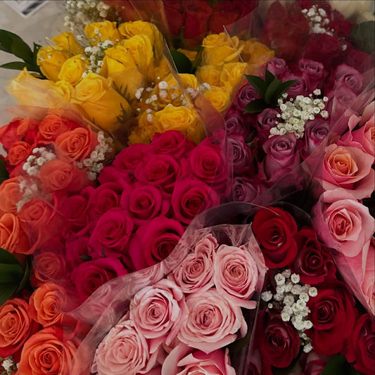 Dozen roses in clear paper
