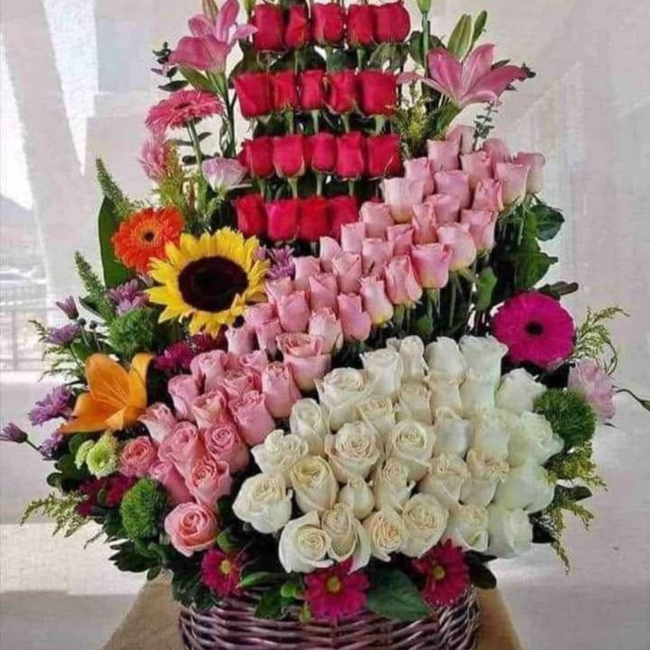 Giant surprise!